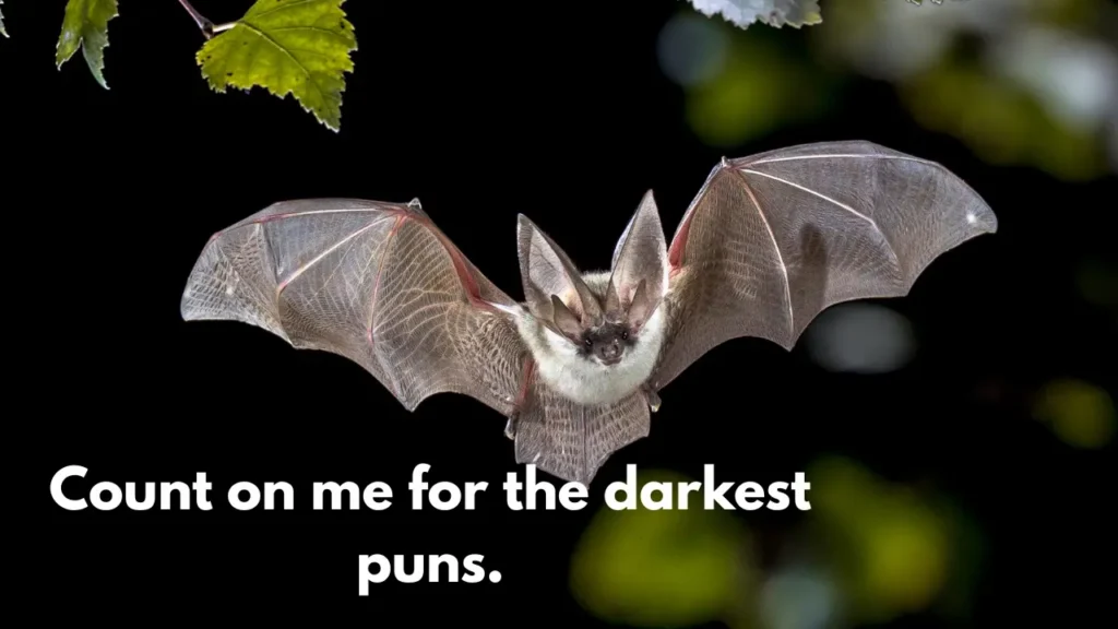 Count on me for the darkest puns.