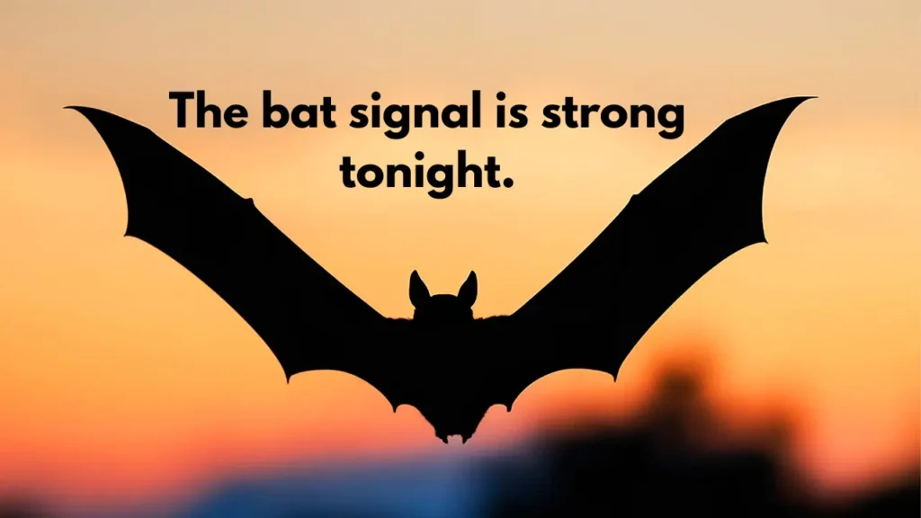 The bat signal is strong tonight.
