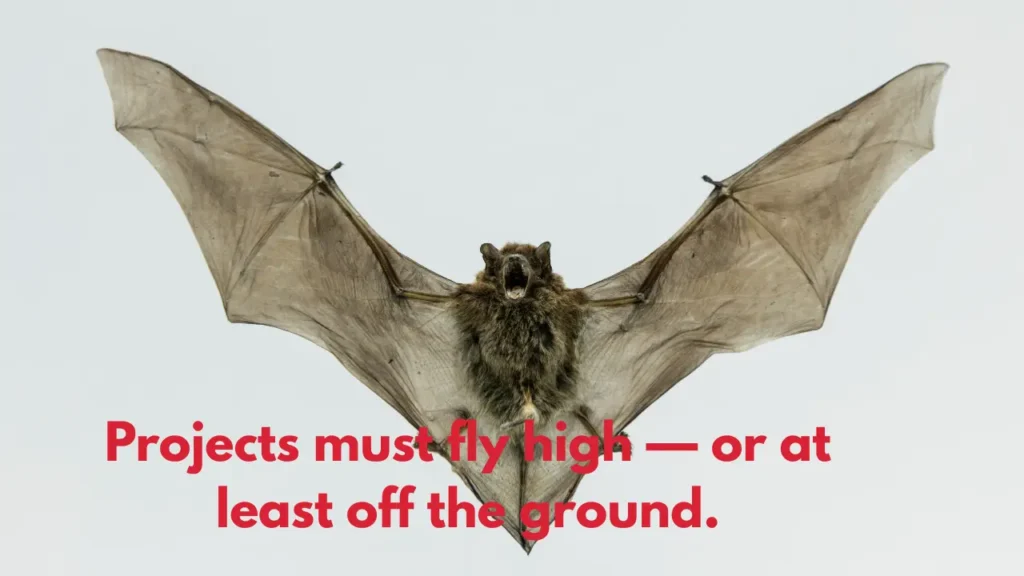 Projects must fly high — or at least off the ground.