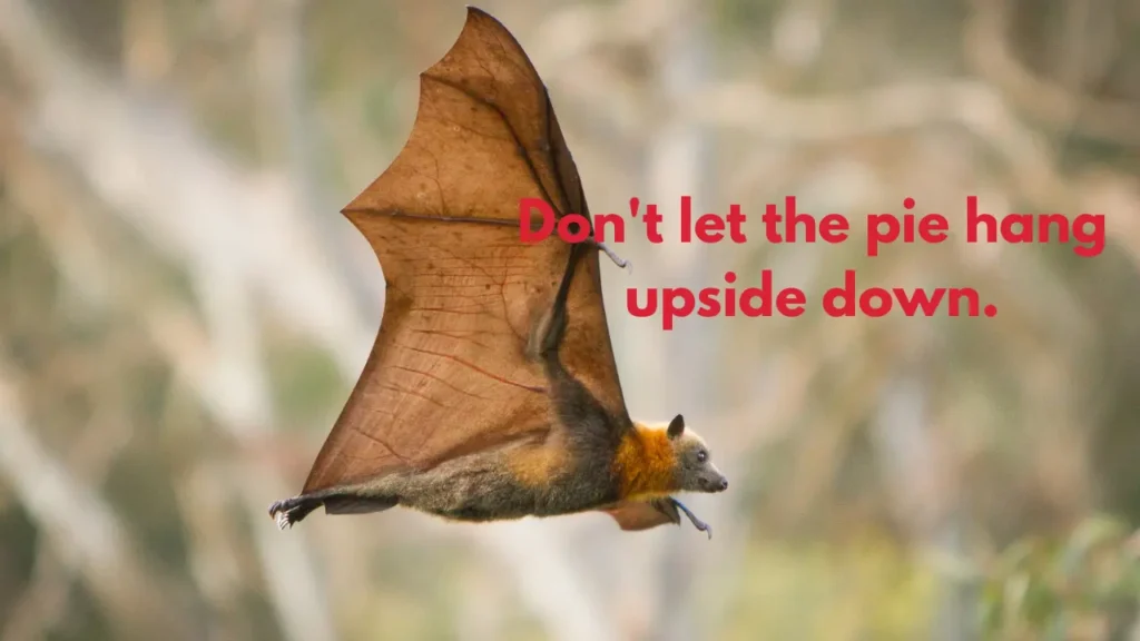 Don't let the pie hang upside down.