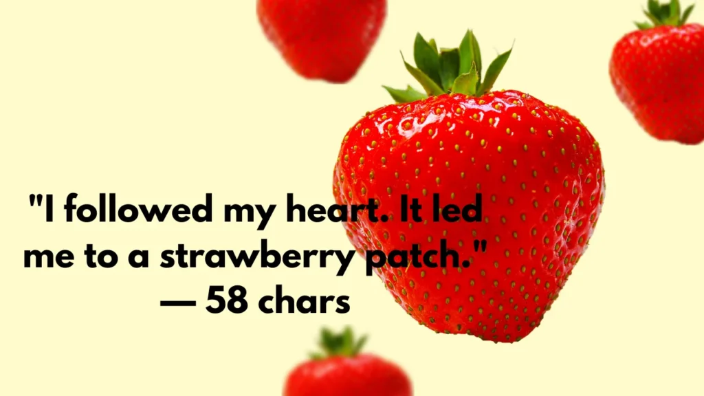 "I followed my heart. It led me to a strawberry patch." — 58 chars