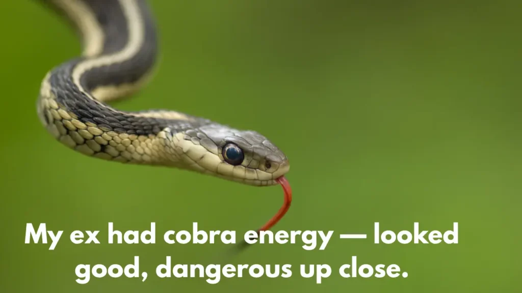 My ex had cobra energy — looked good, dangerous up close.