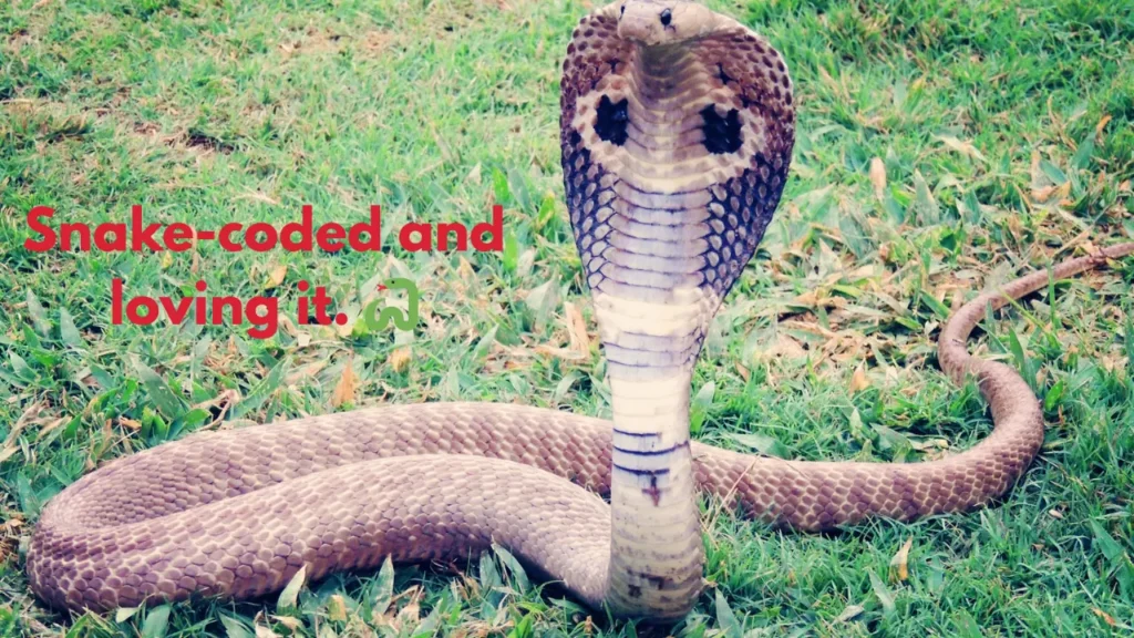 Snake-coded and loving it. 🐍