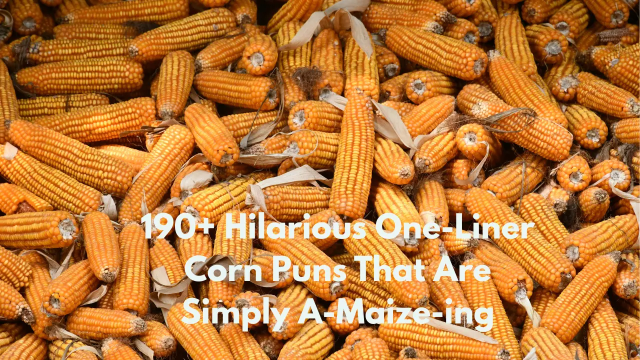 190+ Hilarious One-Liner Corn Puns That Are Simply A-Maize-ing