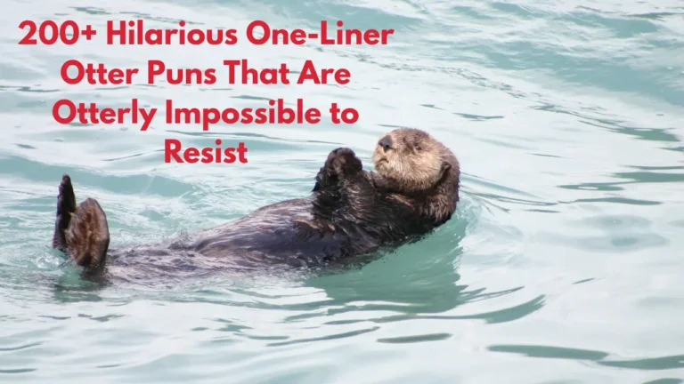 200+ Hilarious One-Liner Otter Puns That Are Otterly Impossible to Resist
