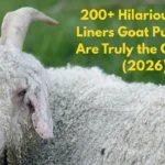 200+ Hilarious One-Liners Goat Puns That Are Truly the G.O.A.T. (2026)