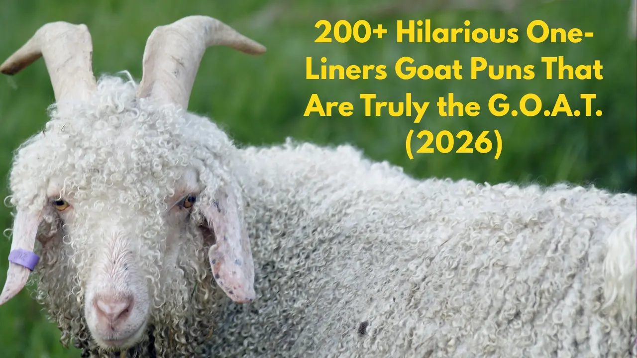 200+ Hilarious One-Liners Goat Puns That Are Truly the G.O.A.T. (2026)