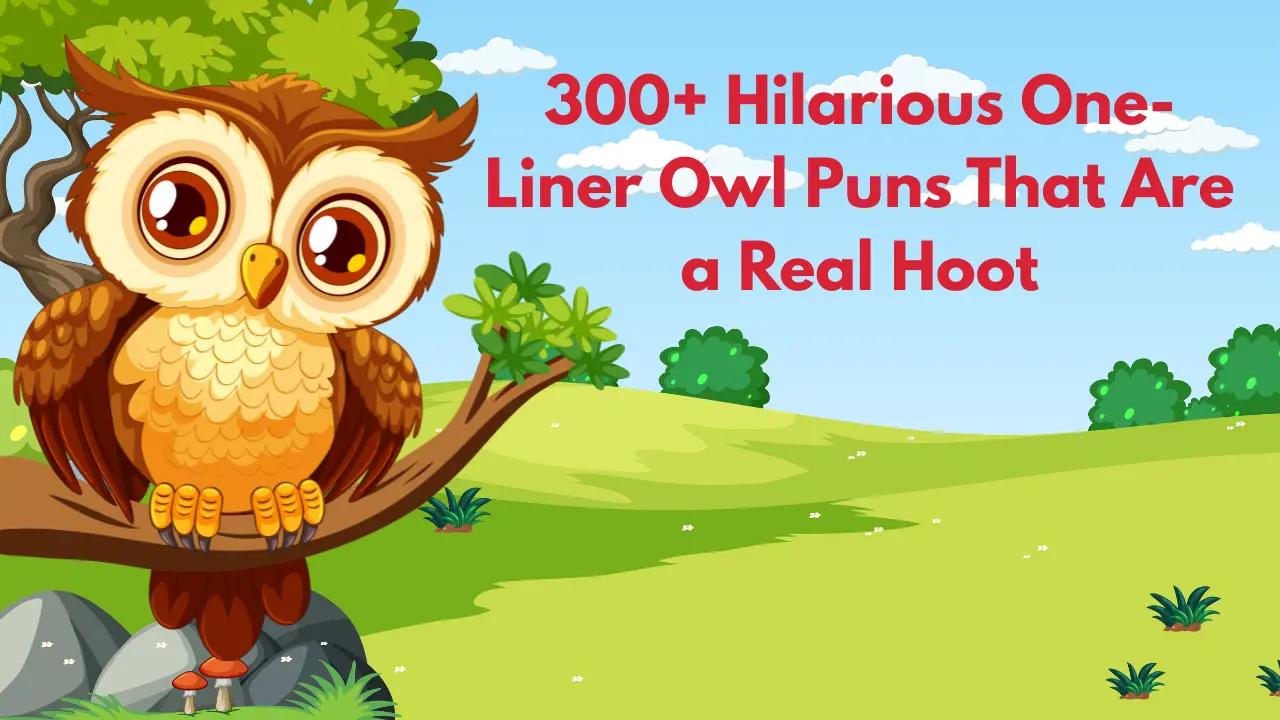 300+ Hilarious One-Liner Owl Puns That Are a Real Hoot