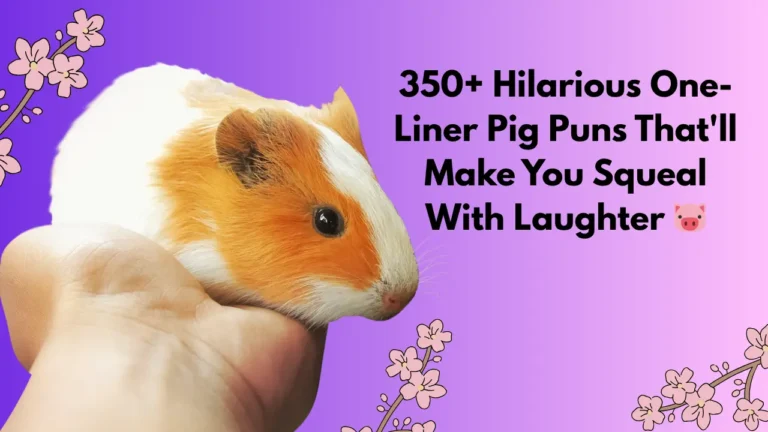 350+ Hilarious One-Liner Pig Puns That'll Make You Squeal With Laughter 🐷