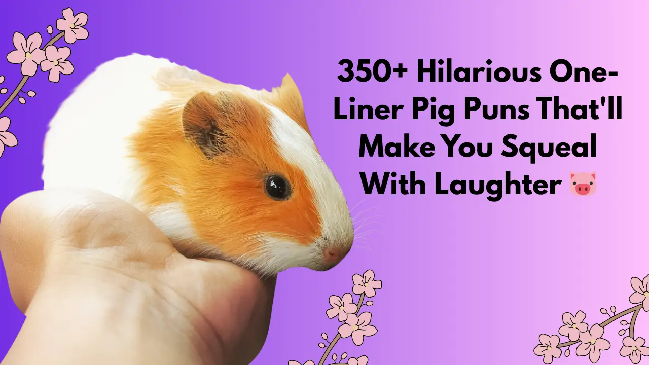 350+ Hilarious One-Liner Pig Puns That'll Make You Squeal With Laughter 🐷
