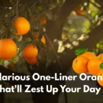 114+ Hilarious One-Liner Orange Puns That'll Zest Up Your Day 🍊