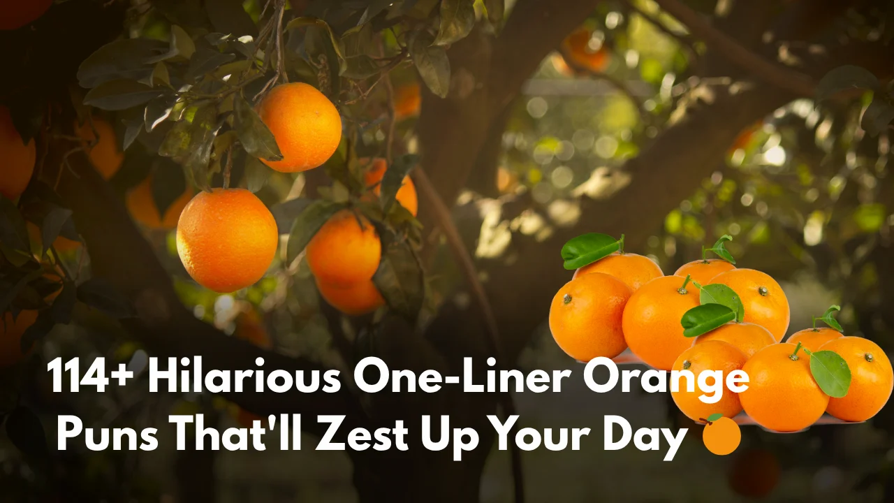 114+ Hilarious One-Liner Orange Puns That'll Zest Up Your Day 🍊