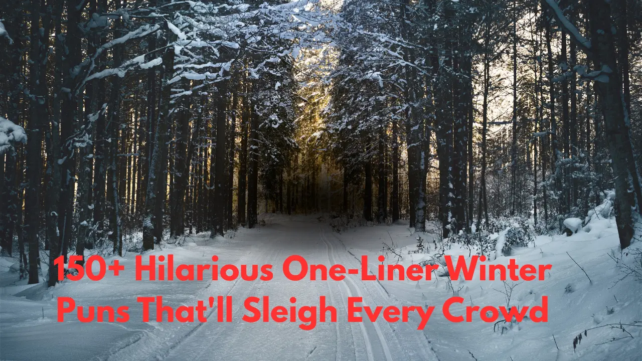 150+ Hilarious One-Liner Winter Puns That'll Sleigh Every Crowd