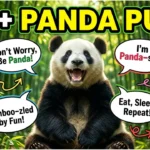 175+ Hilarious One-Liner Panda Puns That'll Make You Smile All Day 🐼
