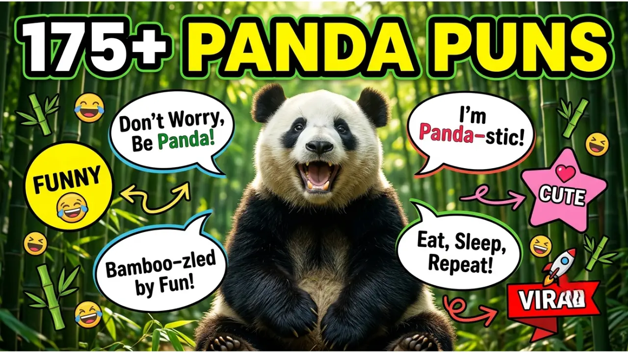 175+ Hilarious One-Liner Panda Puns That'll Make You Smile All Day 🐼