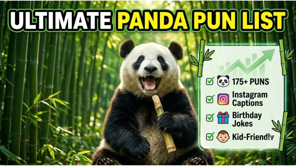 Why One-Liner Panda Puns Are the Best Kind of Humor