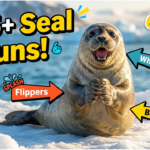 305+ Hilarious One-Liner Seal Puns to Make You Laugh Out Loud